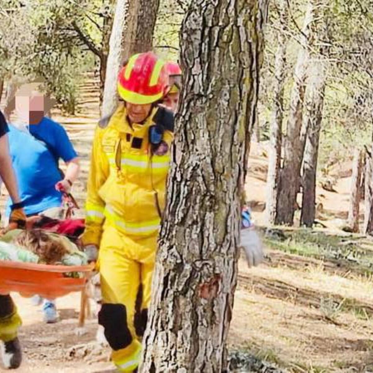 Los Bomberos de Jaén rescatan a una senderista que estaba tirada en el campo