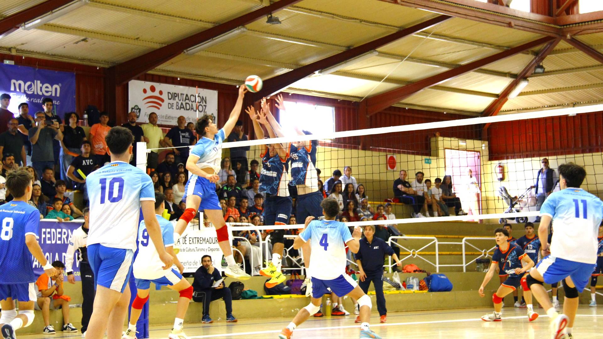 Selección española cadete (Foto:RFEVB)