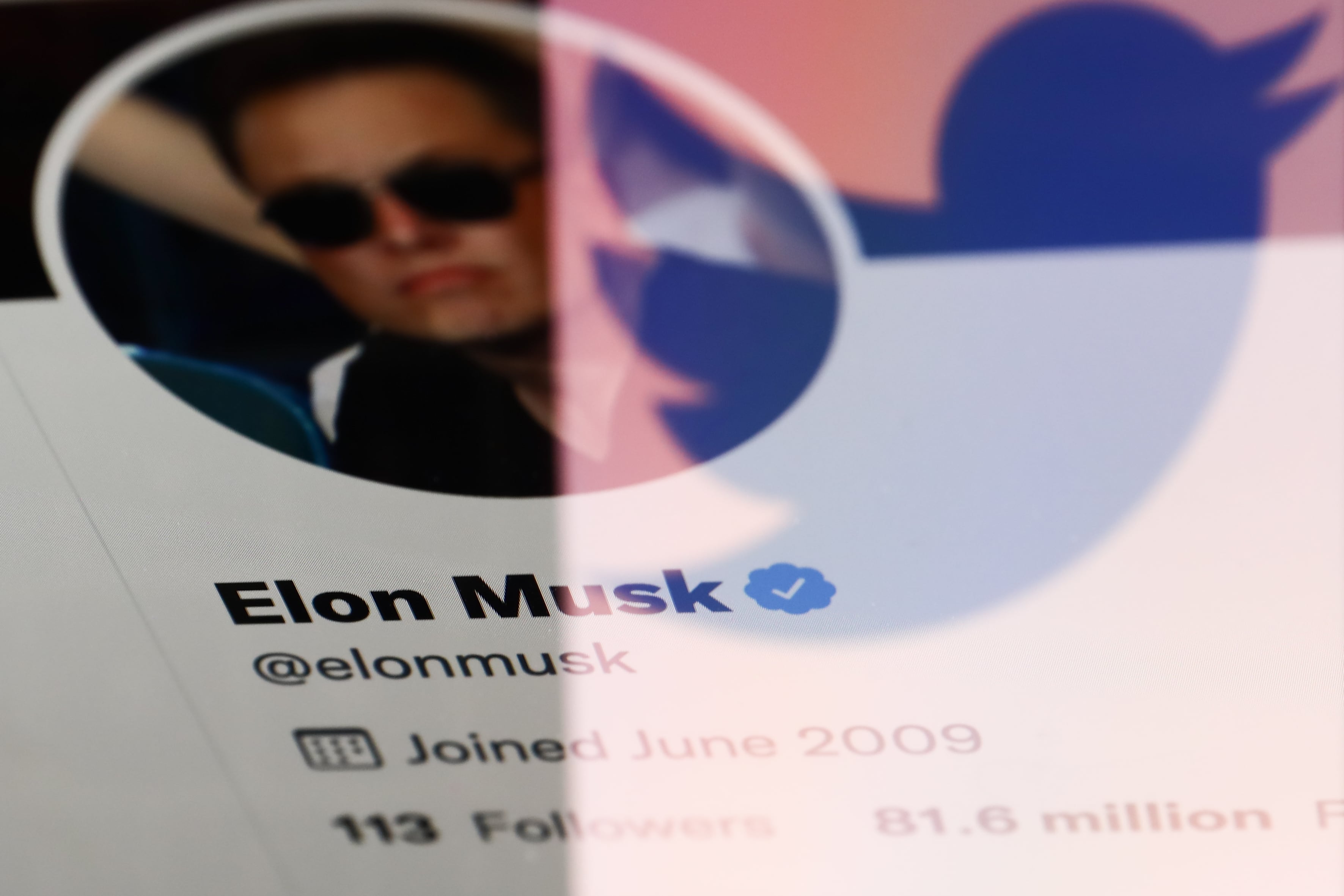 El perfil de Elon Musk en Twitter.