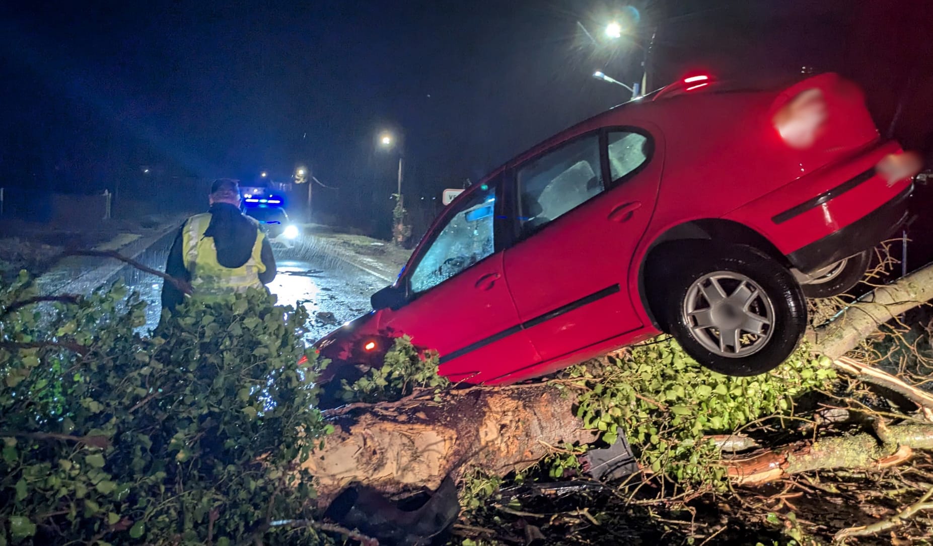 El viento derriba un árbol en la ZA-611 en Venialbo