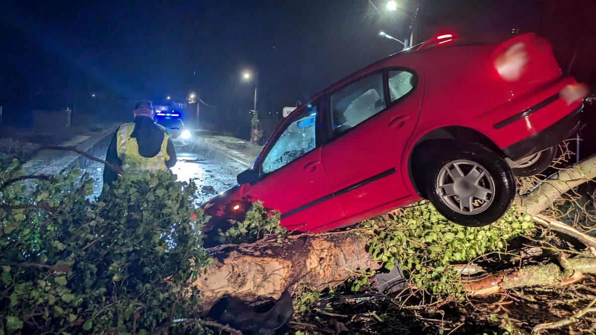 Zamora deja atrás el aviso amarillo por viento, pero mantiene la alerta por lluvias y crecidas