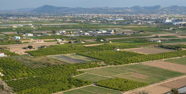 La asociación El Bancal y la Plataforma contra la Autovía del Bancal denuncian que desaparecerá una parte importante de huerta con la construcción de esta infraestructura