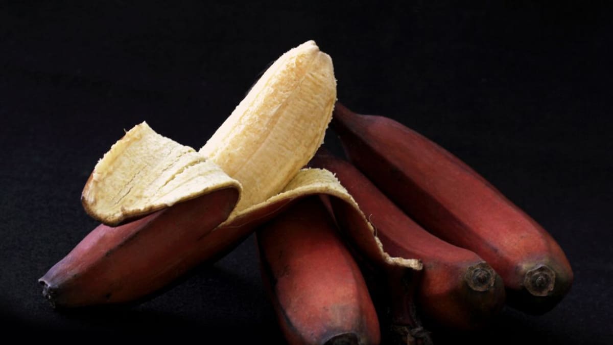 Plátanos rojos, accesibles y saludables