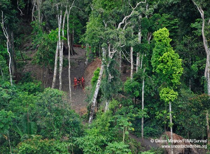 Imagen de uno de los indígenas fotografiados en Brasil por Survival International