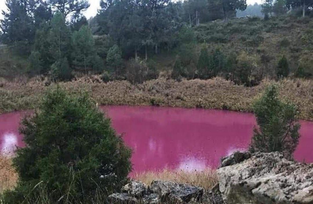 La laguna rosa, el pasado otoño