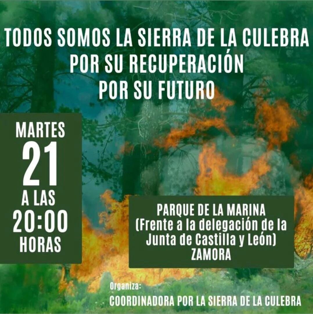 Cartel de la manifestación