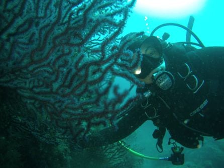 La Región de Murcia cuenta con Cabo de Palos como uno de los lugares más atractivos para la práctica del buceo