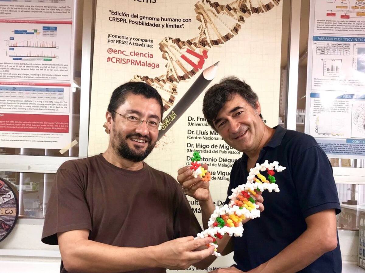 Málaga da un paso para prevenir la diabetes 1