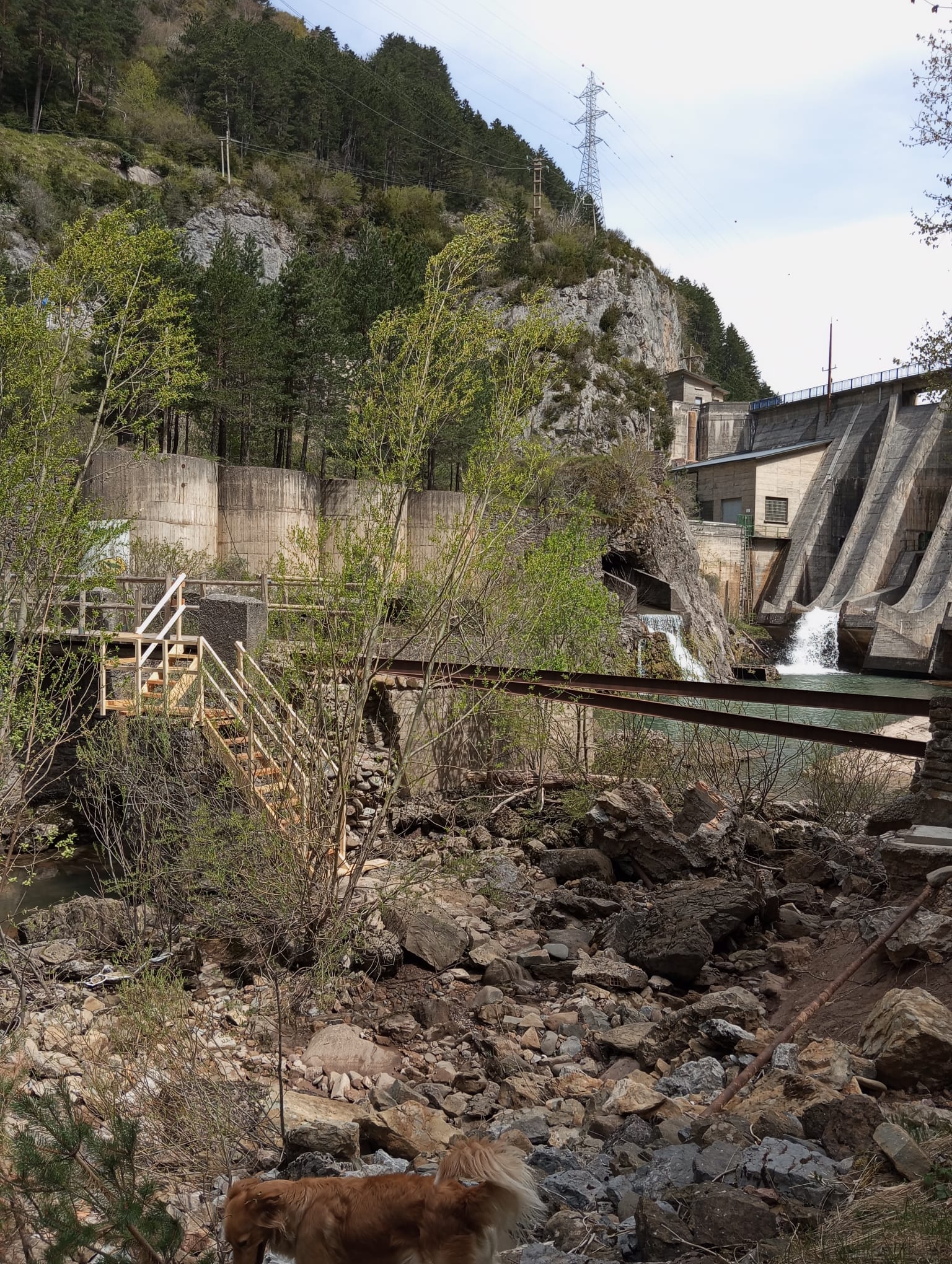 Se han realizado unos trabajos de urgencia en la pasarela