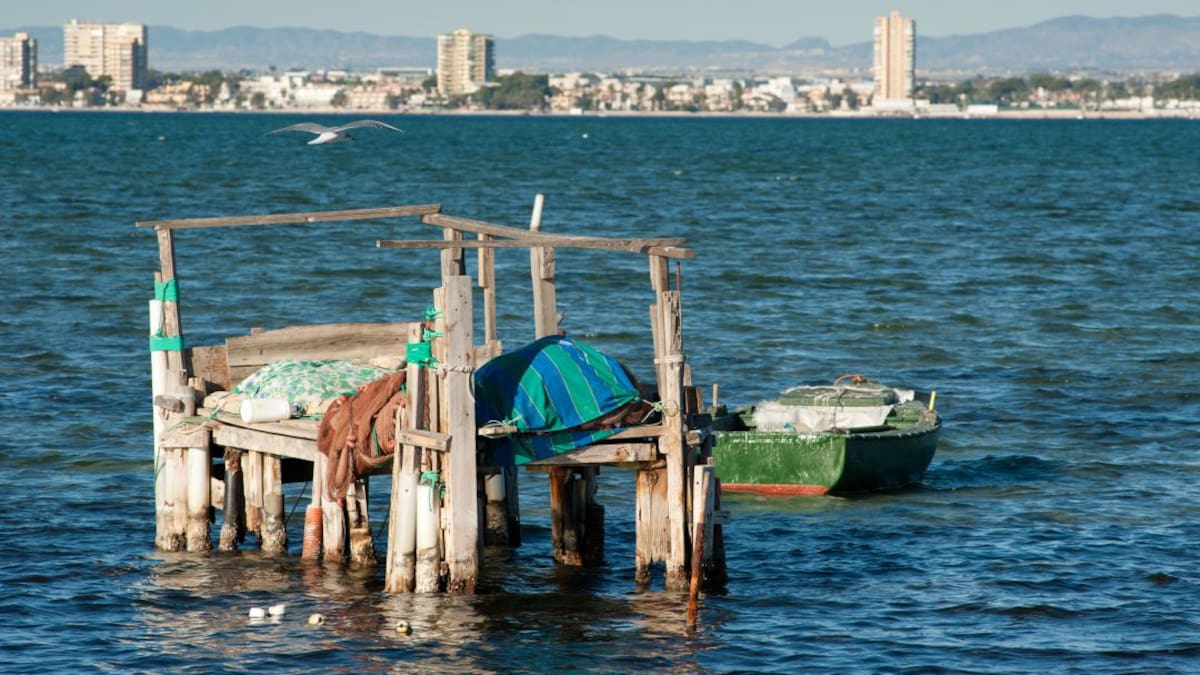 José Blaya: "Cada vez hay más y mejor pescado en el Mar Menor, estamos en uno de los mejores años de capturas"