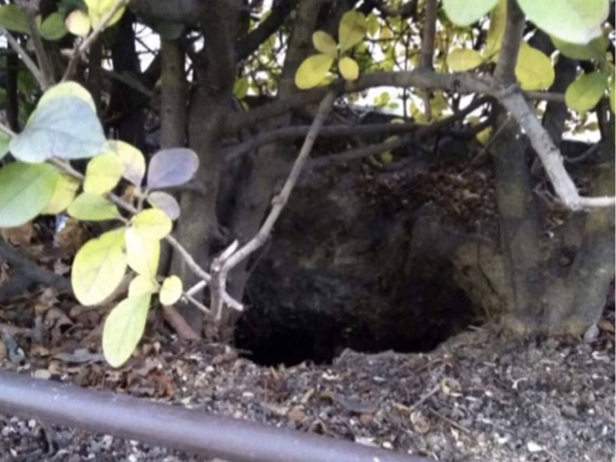 Un año sin solución