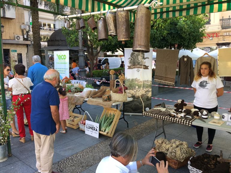 Actividades paralelas del sábado