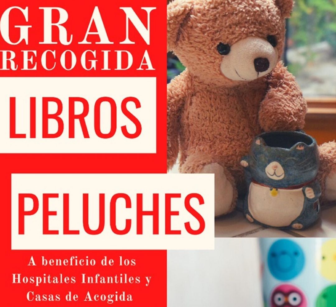 &quot;Gran Recogida de Libros y Peluches&quot;