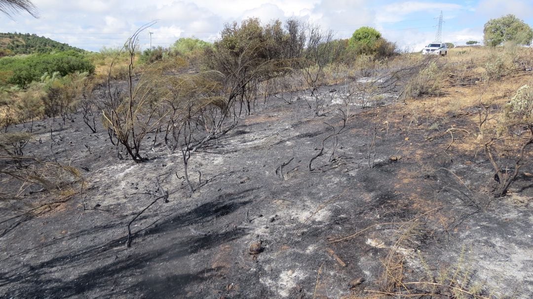 Así quedó el terreno afectado por las llamas en Campillos (Málaga)