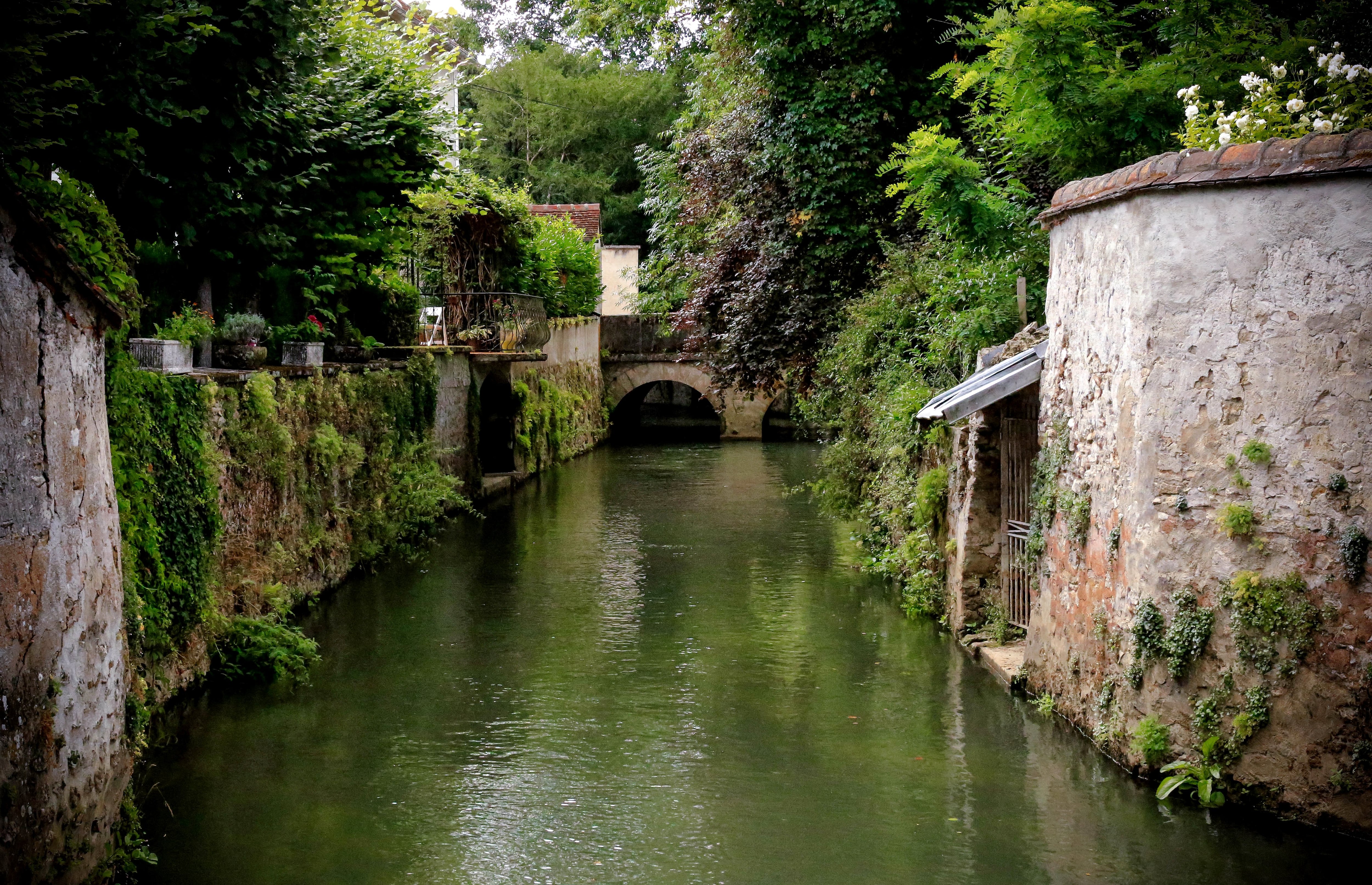 Un canal de Crécy-la-Chapelle.