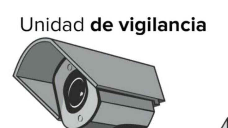 Cerdos que recogen firmas, bicicletas heridas, muertos que mueren...