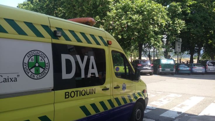 Javier Liz, gerente de la DYA