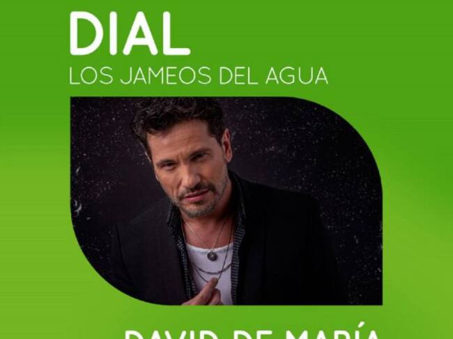 Cartel del concierto de David DeMaría.