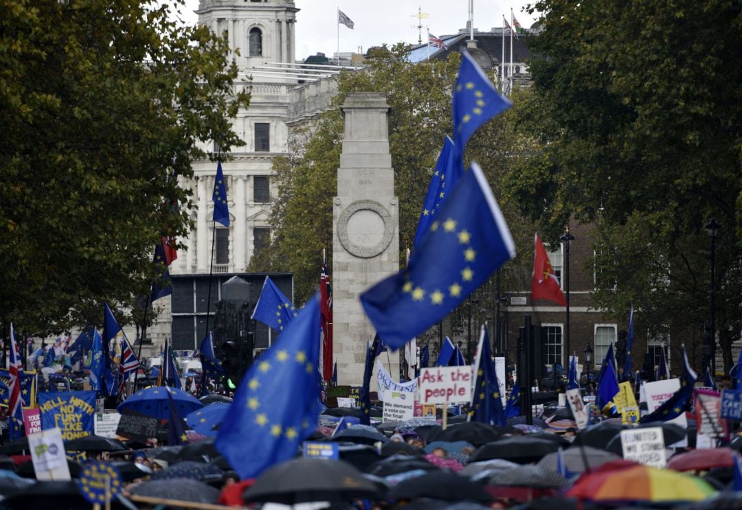 Manifestación a favor de la permanencia en la UE