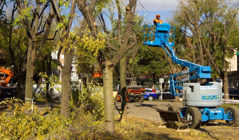 Mejoras urbanas y otras obras, parte de los gastos del presupuesto