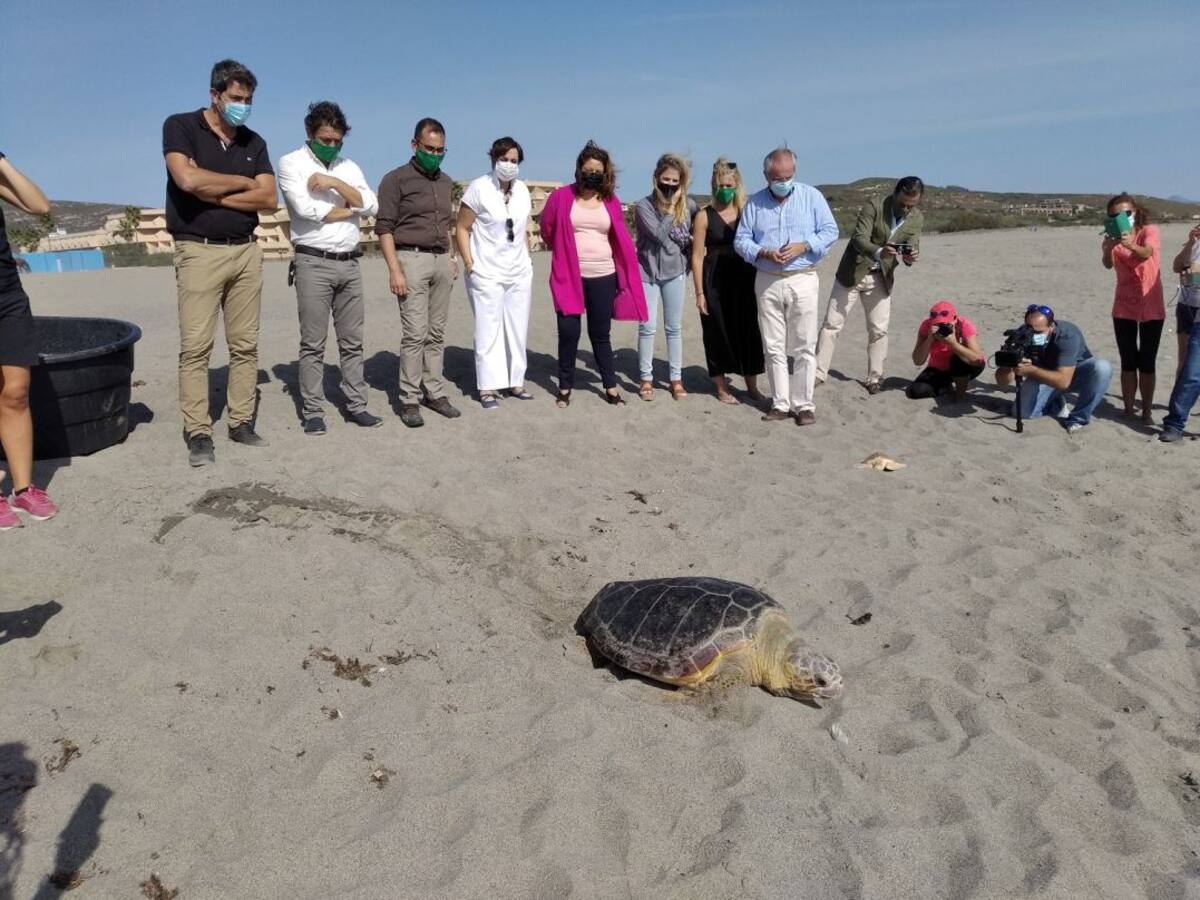 La Junta suelta dos tortugas boba recuperadas en el CEGMA del Estrecho