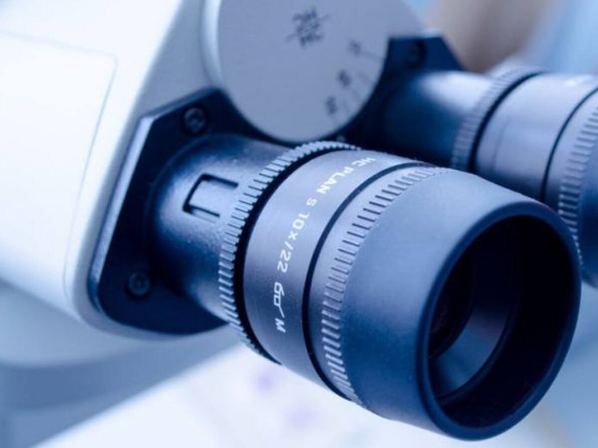 Ikerbasqueko ikertzaileek 26 milioi euroko funtsa erakarri zuten 2017an