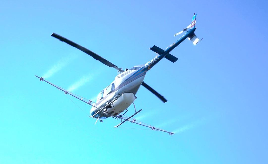 Imagen del helicóptero que se encarga de la fumigación