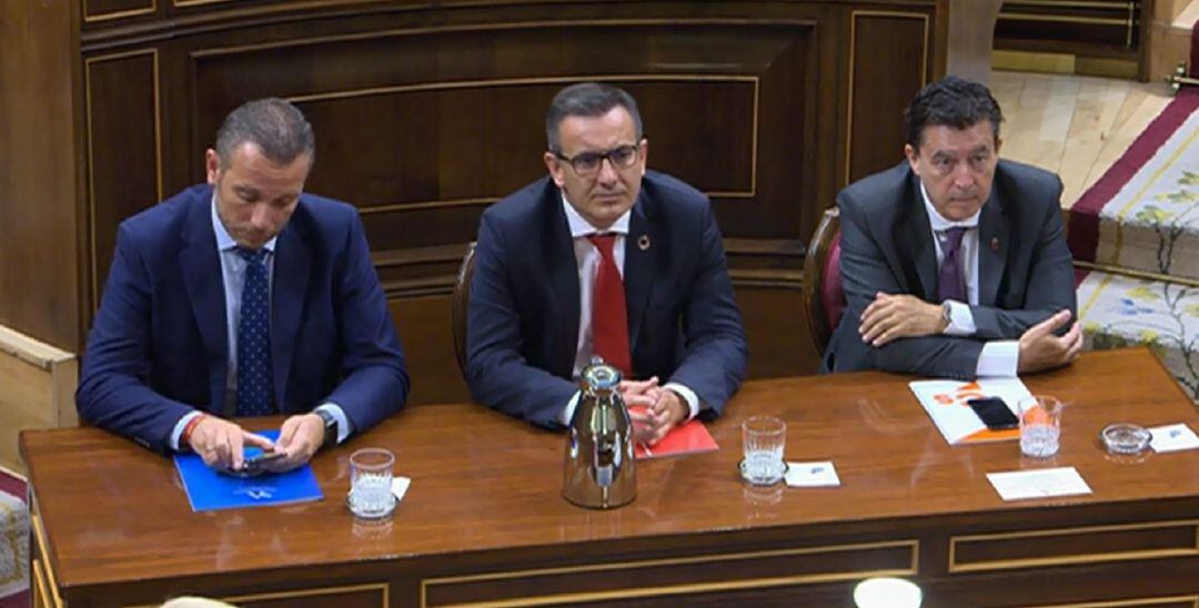 Joaquín Segado (PP), Diego Conesa (PSOE) y Juan José Molina (Cs) en el Congreso de los Diputados