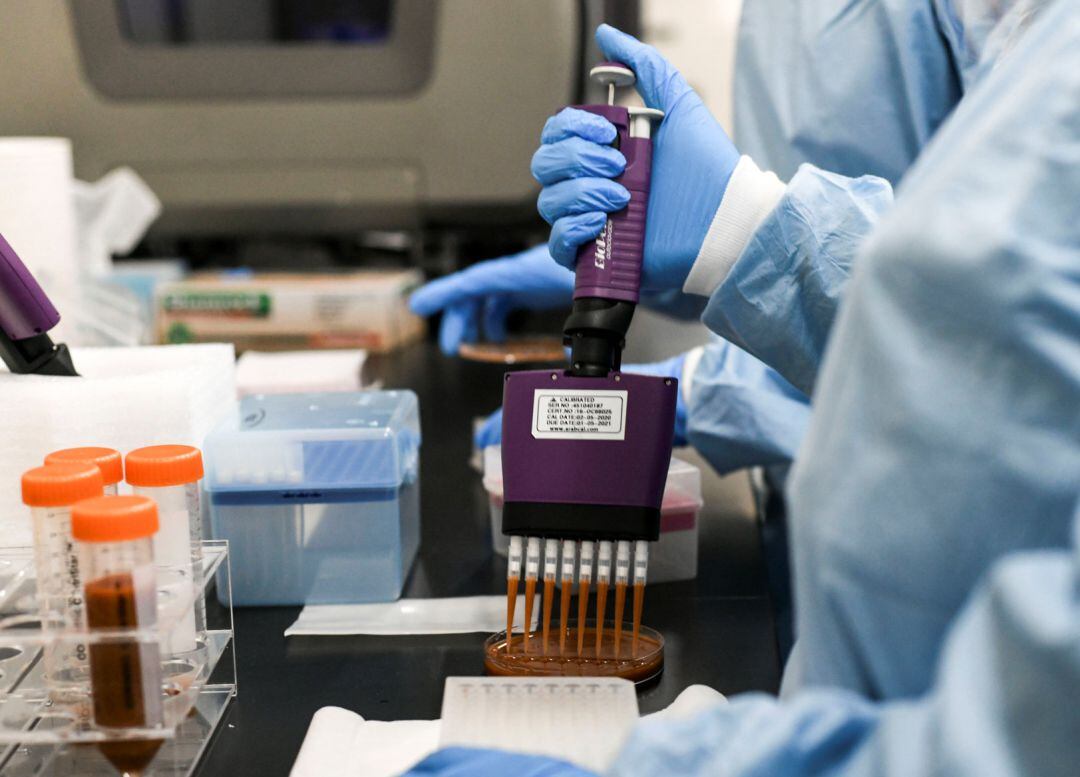 L'índex de creixement potencial o risc de rebrot (EPG) ha crescut fins 243,6, nou punts més que ahir