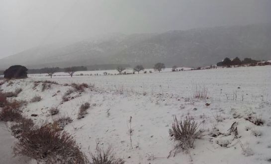 Inmediaciones de Cañana de la Cruz, Moratalla. 1300m. 