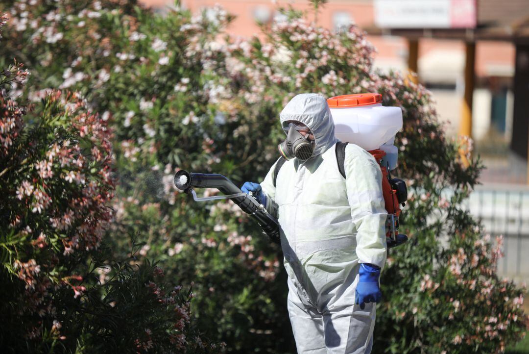 Archivo - Labores de fumigación contra los mosquitos en Coria del Río