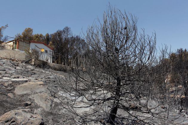 El incendio forestal de pinar con más de 80 desalojados en Beneixama ya no presenta llamas en ningún punto de las 900 hectáreas afectadas