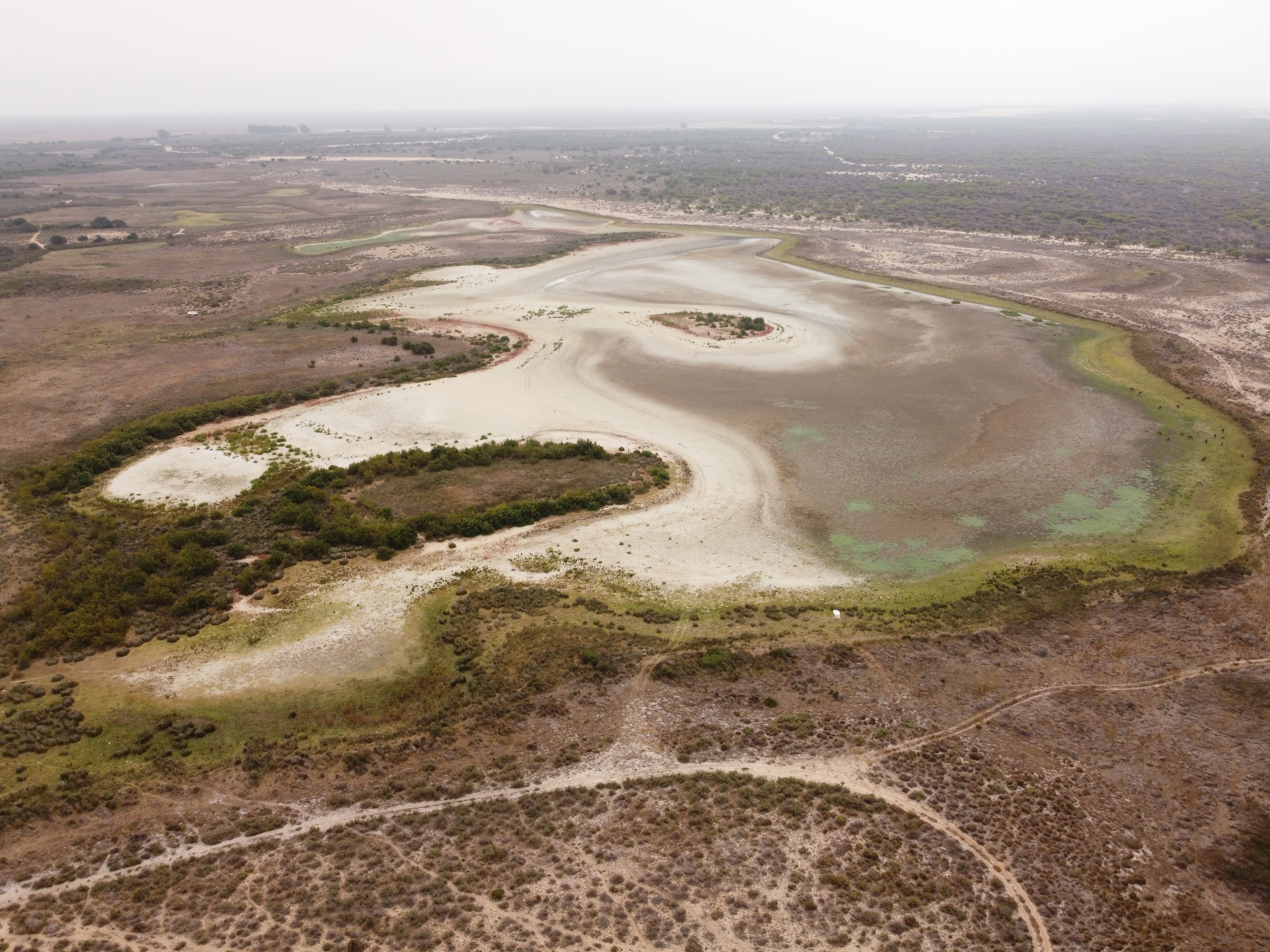 Laguna de Santa Olalla (Estación Biológica de Doñana)