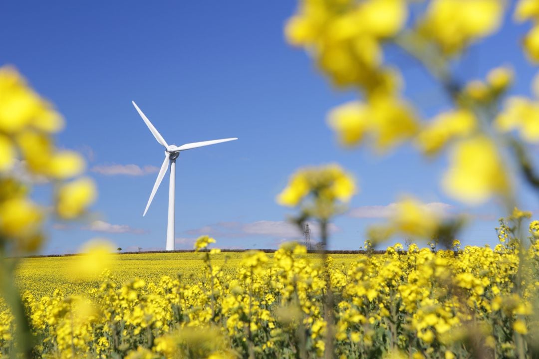 Las energías renovables, claves en el futuro.