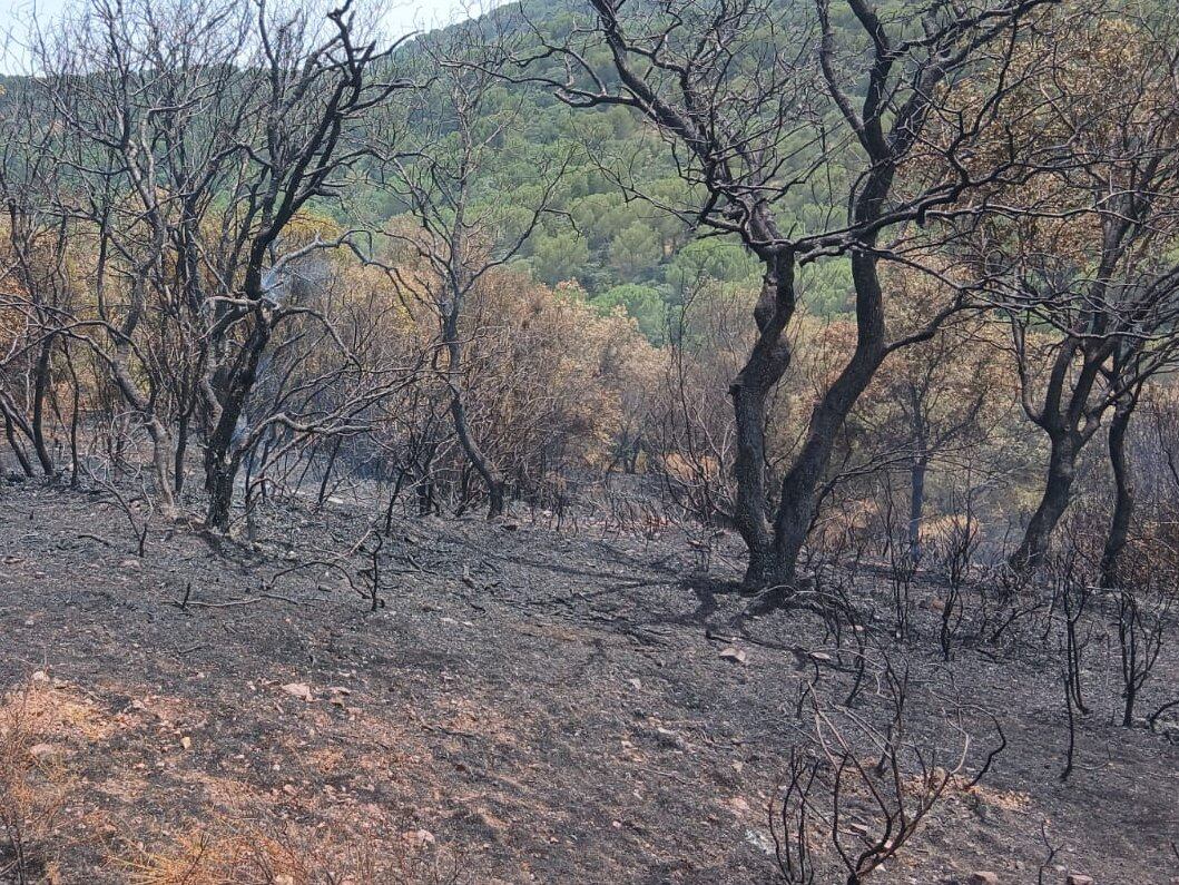 El INFOCA da el fuego por estabilizado en Trassierra (Córdoba) esta tarde.