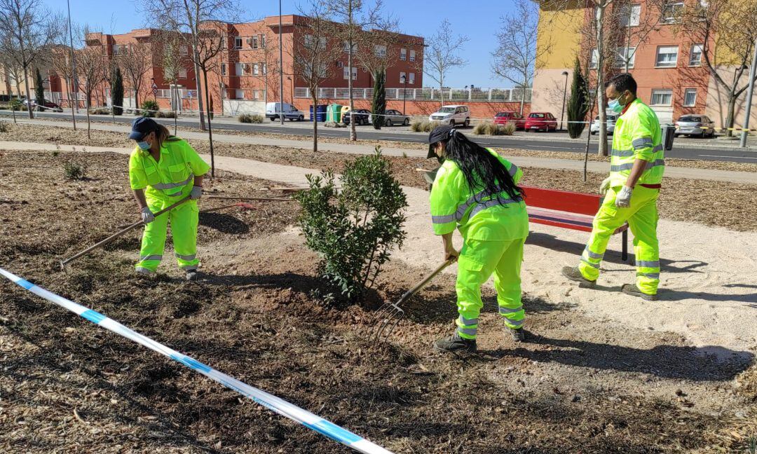 Trabajadoras del taller de empleo realizando labores de plantación de arbustos en una zona de paseo en la Avenida de los Descubrimientos