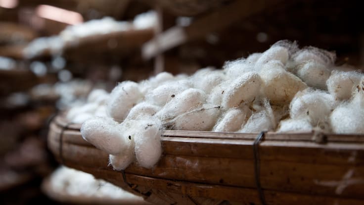 Entrevista a Andrés Martínez Bastida, director del IMIDA