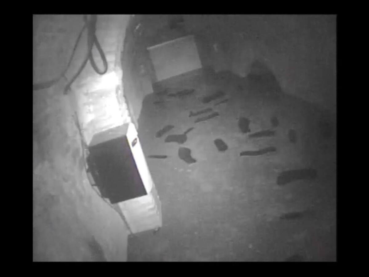 Así se inundó una de las salas de los Baños Árabes de Ronda