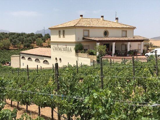 Bodega Doña Felisa en Ronda