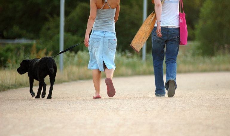 Los perros podrán pasear atados por los parques de San Sebastián