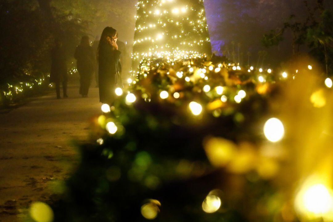 Templarium pide iluminación para ambientar la Navidad