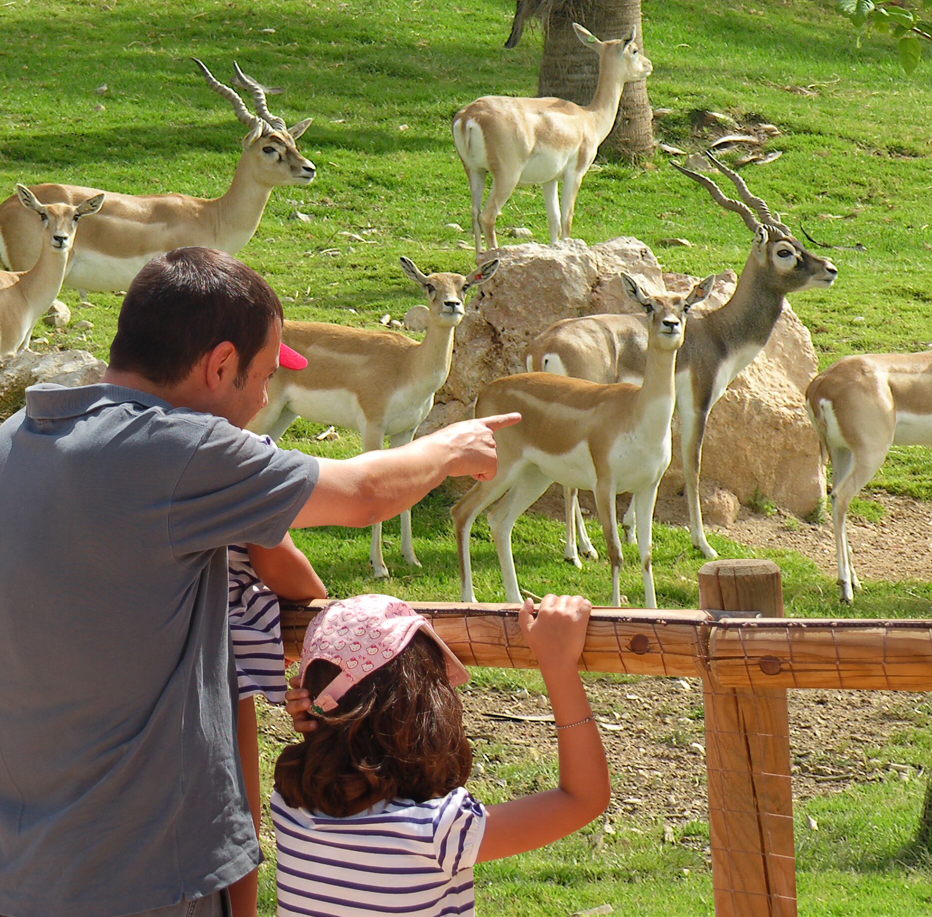 Una familia visitando Terra Natura en Benidorm.