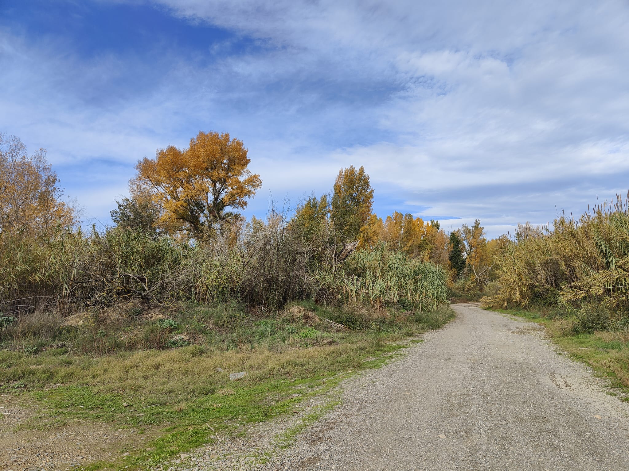 Camino de la Jacilla de Monzón