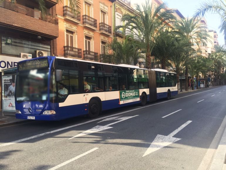 Autobus de la Linea 24 del TAM 