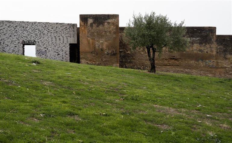 Muralla del Albaicín. Fotografía participante en el concurso convocado por la Asociación de Vecinos y el Patronato de la Alhambra