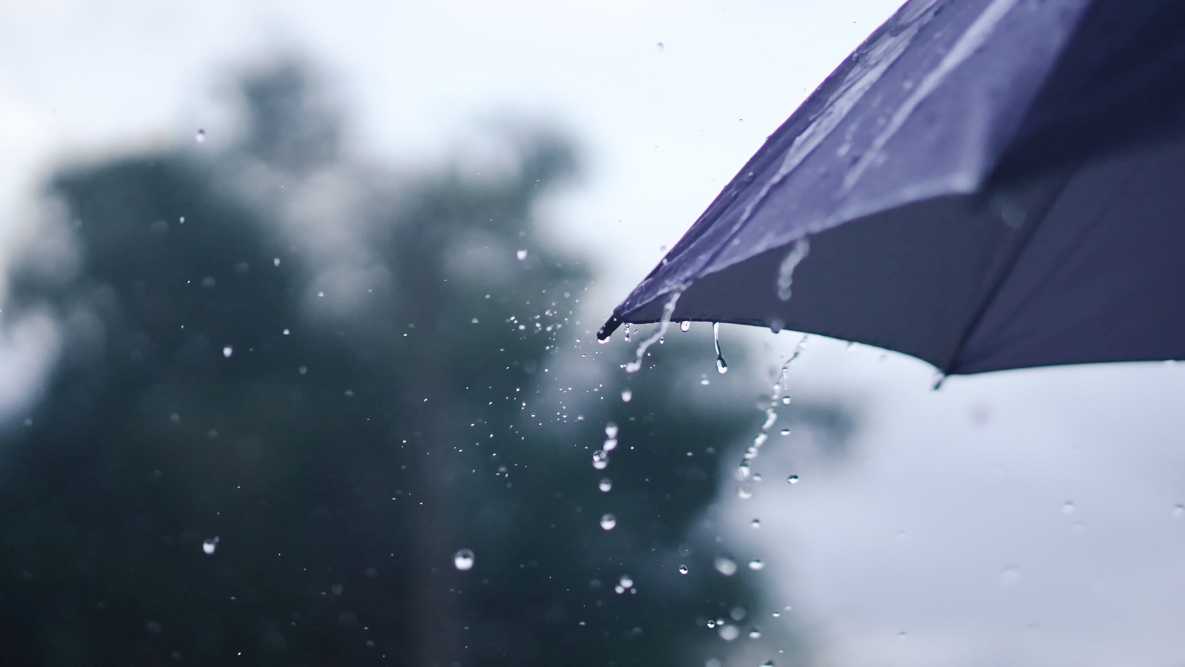 El pronóstico de lluvia aplaza actos