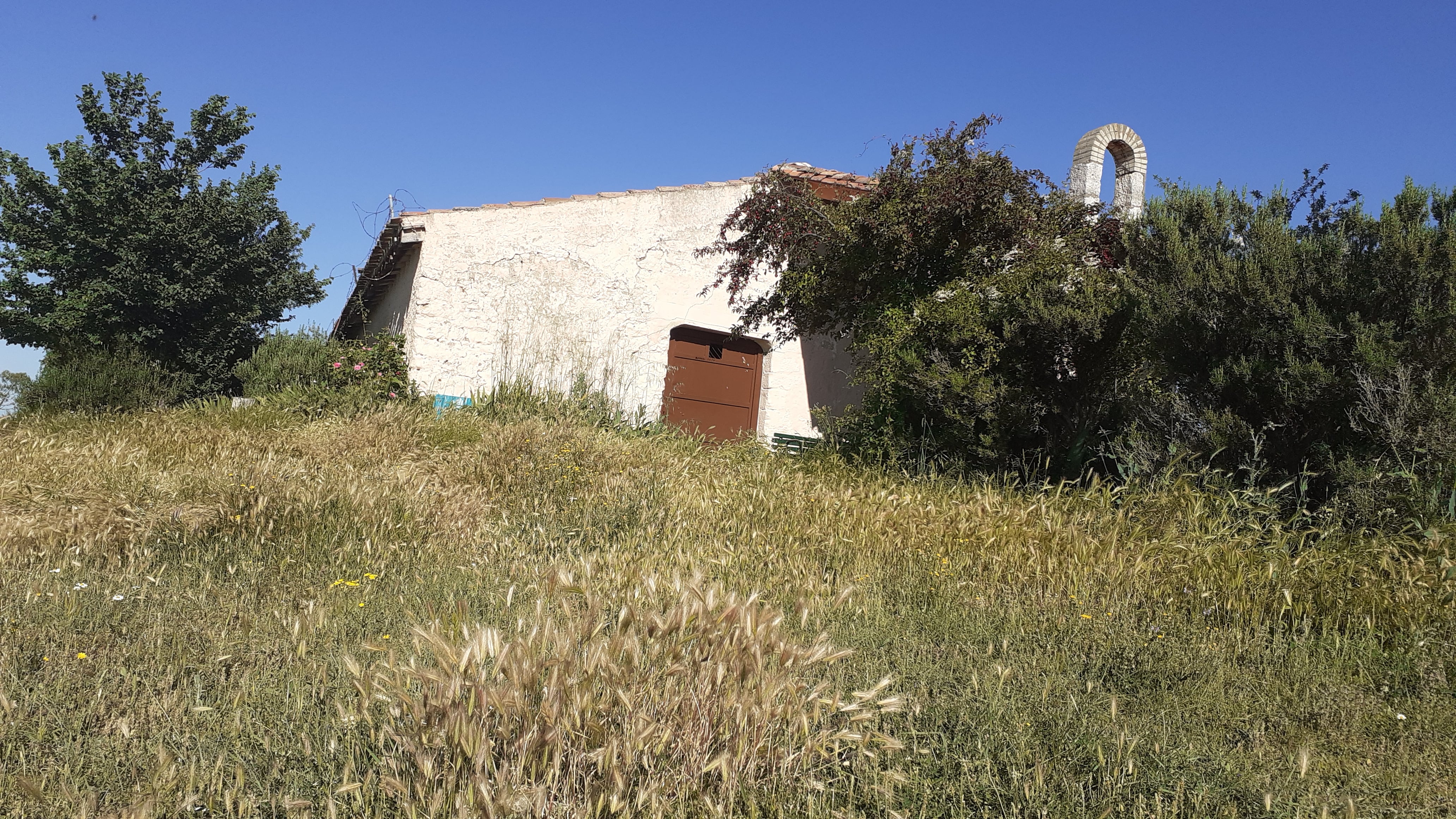 La vegetación que circunda la ermita invade los accesos