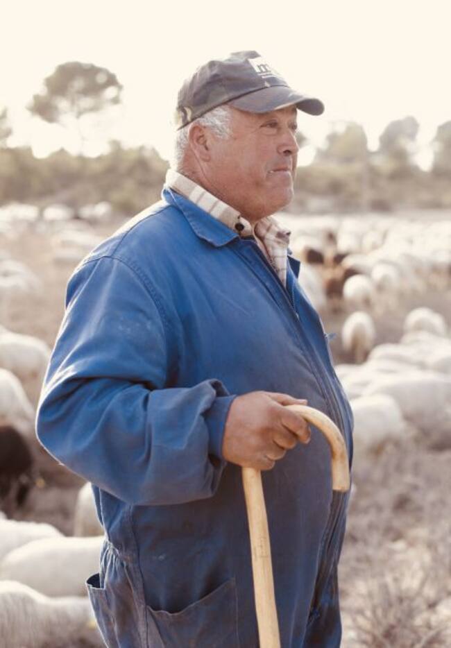 Amador con sus ovejas.