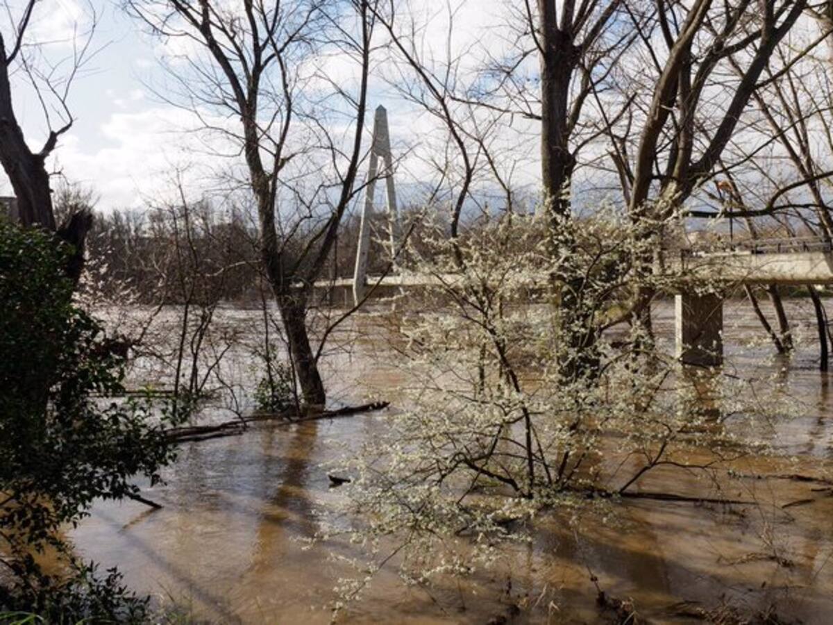 El cuerpo sin vida rescatado en el Ebro es el de la mujer desaparecida en Logroño