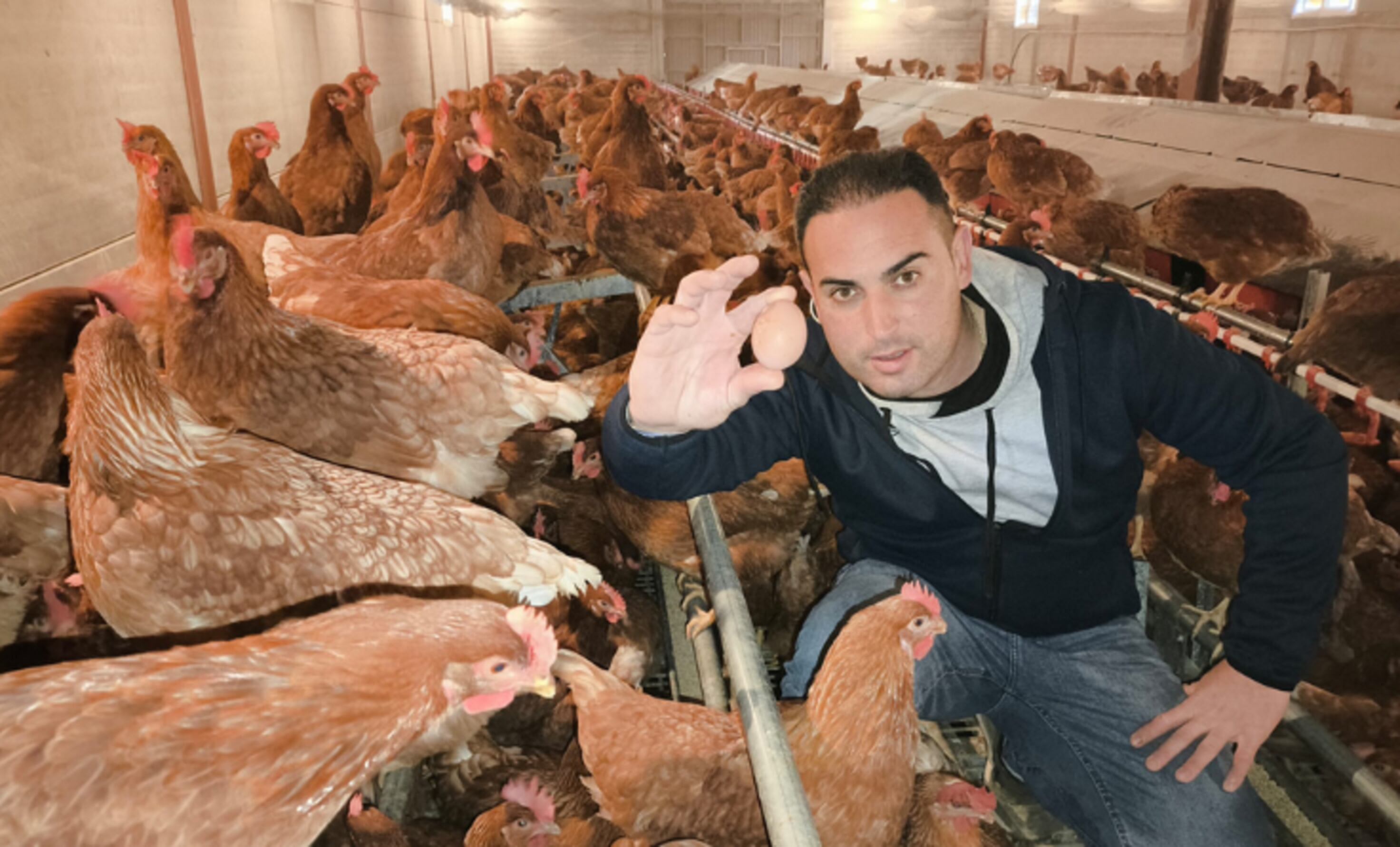 Jose Ruiz Ibáñez con sus gallinas y sus &#039;Tremendos Huevos&#039; en Cañete (Cuenca).